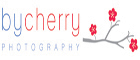 Santa Barbara Los Angeles Central Coast Wedding Photographer