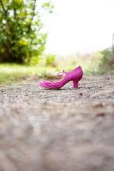 3879614946_f65e821e58