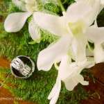 C+J_BLOG006