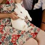 IMG_0072-7-1