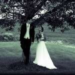 IMG_2554b IMG_2554b