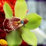 IMG_5217 IMG_5217