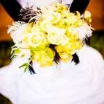 _MG_2285 _MG_2285
