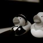 cityhallwedding7