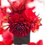 manthe-334 manthe-334