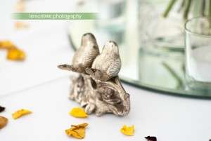lemontree-14