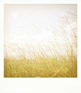 4159167259_3252a8cef8