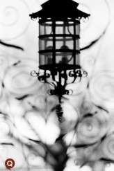 QWeddings_LauraGena-3