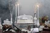 Winter Wonderland Fairytale Wedding002