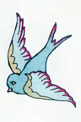 Steve Gerrard Photography