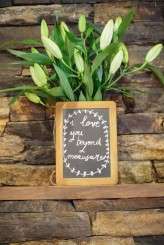 Kerrie&Chris_fimimsphotography173