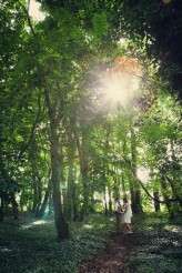 LaurenMattAssassynation-200