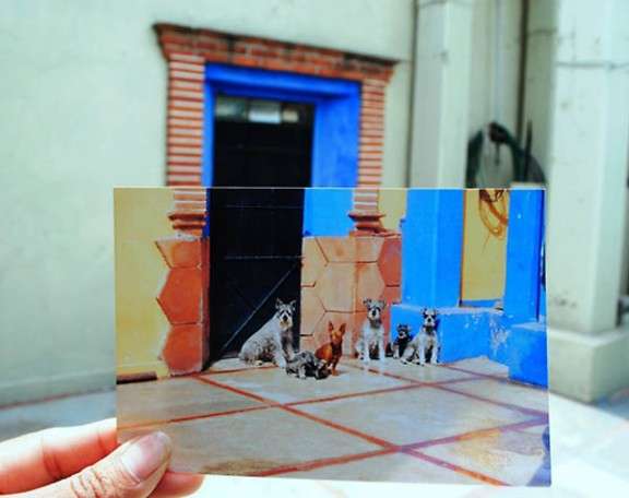 dear photograph4
