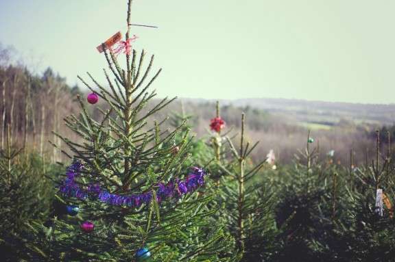New Year Resolutions Lisa Devlin 029