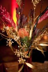 Klingon_wedding_garrett_frandsen (135 of 524)