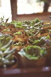 Nree&Adrian.AUS.Wedding.027