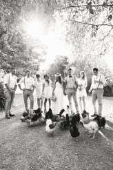 Nree&Adrian.AUS.Wedding.408