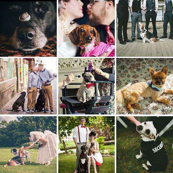 12 reasons your dog needs to be at your wedding