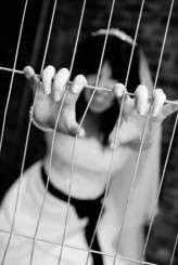 n546660230_3157919_3735