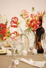 robinroemer_elisabethmillay_042