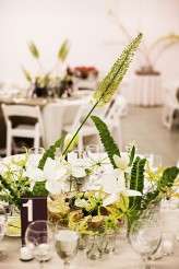 robinroemer_elisabethmillay_043