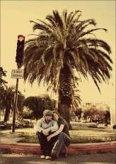 3512579500_da8dd84670_o