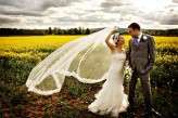 rapeseed_wedding