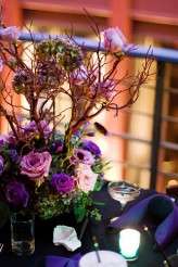 3055879156_9226fa42d5