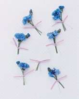 mwa103550_sum08_bouts_xl