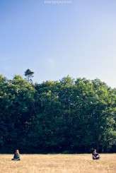 339b6771c1a062989aeb0e1283298795