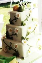 3706128500_831476c5ae_b