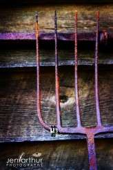 img_4503-56-texture-web