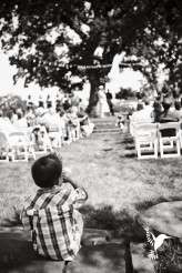 3773133825_dff56045f7_o