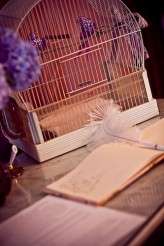 3779731198_176aa976fe