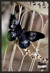 6368_239236435067_633875067_8290487_819793_n