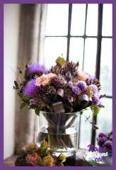 6368_239236550067_633875067_8290503_8023833_n