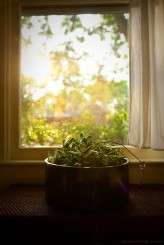 ec_home_engagement002