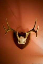 ec_home_engagement007