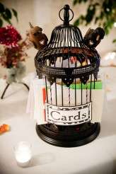 3550983124_5e5ebd210d