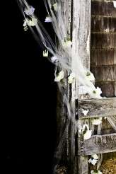 3821296021_29ace4153c