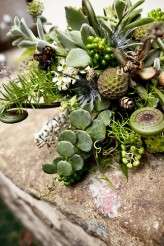 3909398825_e695534df7