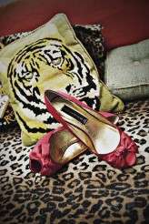 3942322868_dced67d528