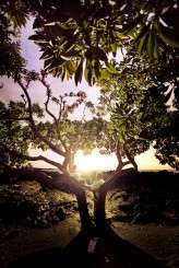 amanda-rob-wedding-1039