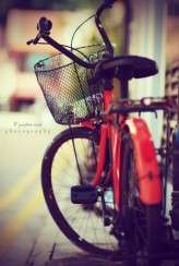 9927_159267364165_79567424165_2602272_7231407_n