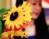 Halloween – Ananda Lima-15