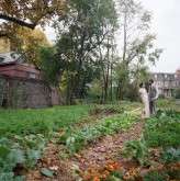 4102406672_3334fbc636_o