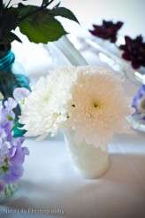 NinaLilyPhotography403