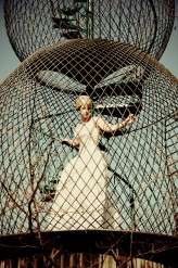 4155735571_6ff3bf99d9_o