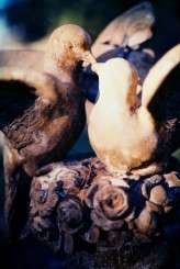 Walkman_R11_0005850-R21-E763