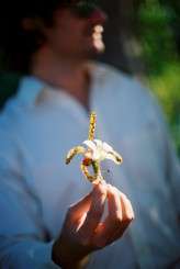 Walkman_R12_0005850-R4-028-12A